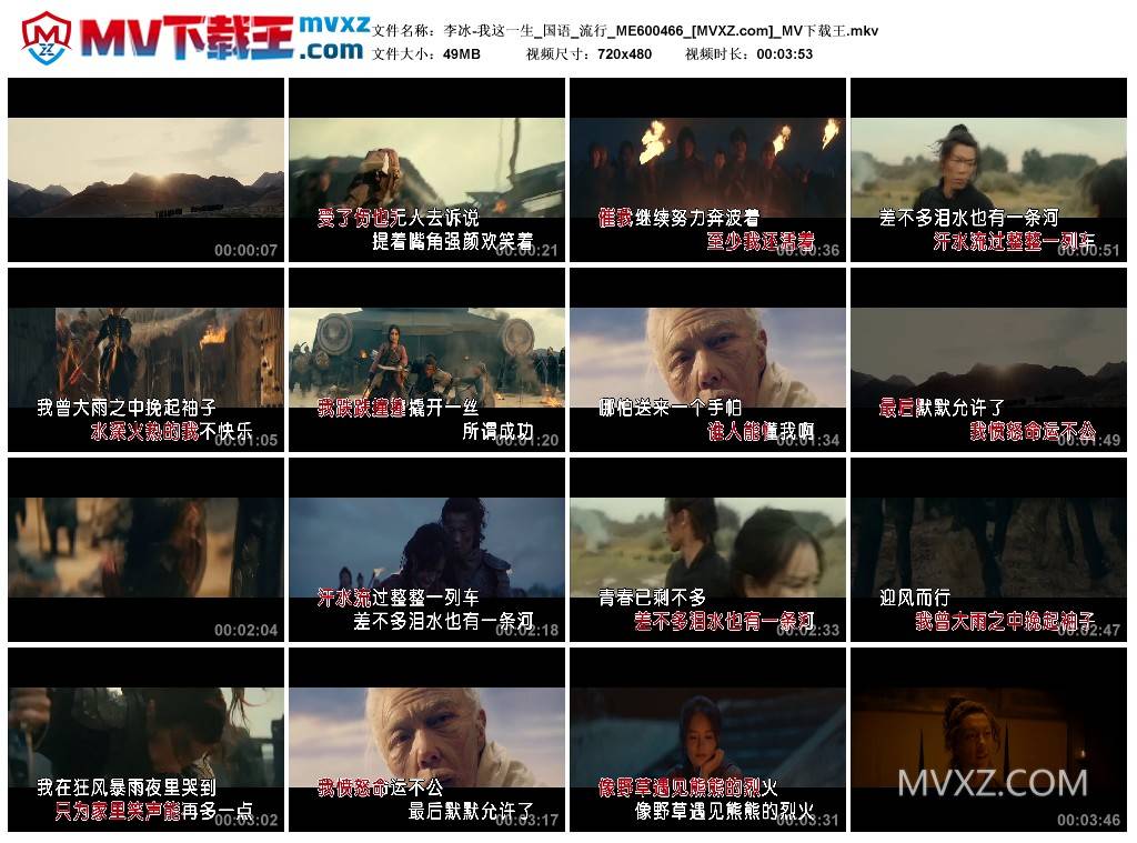 李冰-我这一生_国语_流行_ME600466